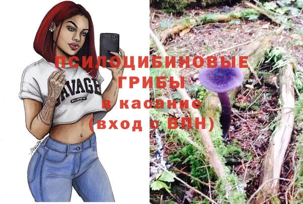 a pvp Белоозёрский