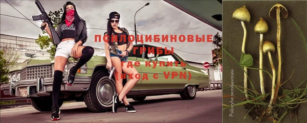 MESCALINE Белокуриха