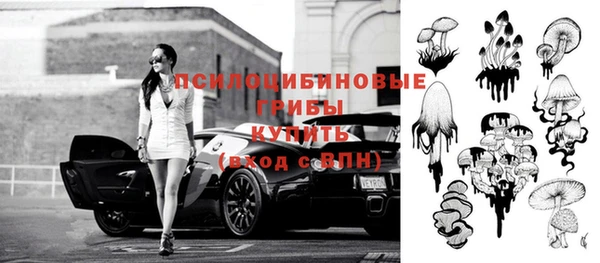 MESCALINE Белокуриха
