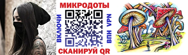 Псилоцибиновые грибы Psilocybine cubensis  Велиж 